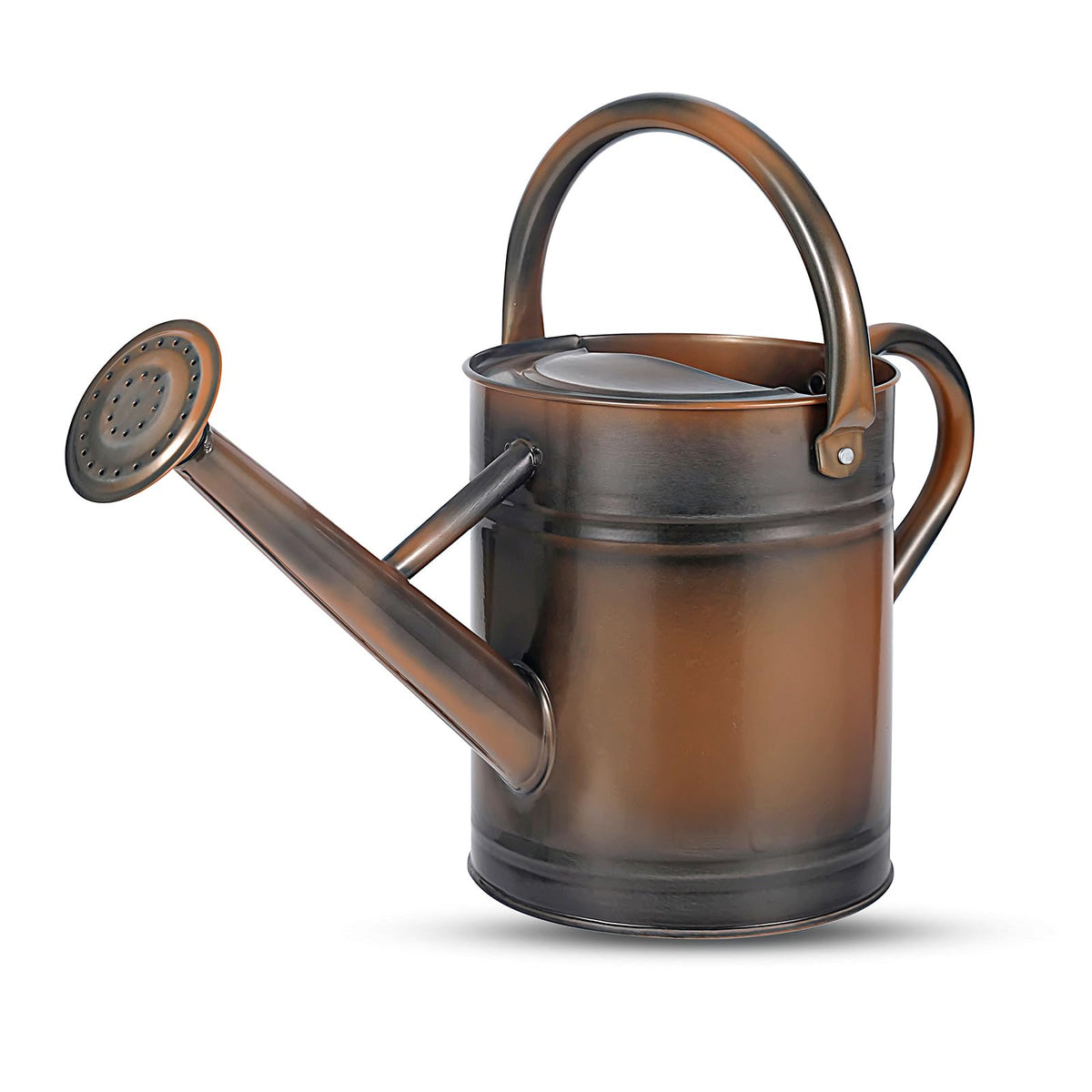 Stdemarzo 1-gallon watering can full view for versatile indoor and outdoor use.