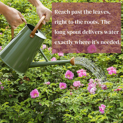 Stdemarzo galvanized steel watering can suitable for indoor and outdoor plant care.