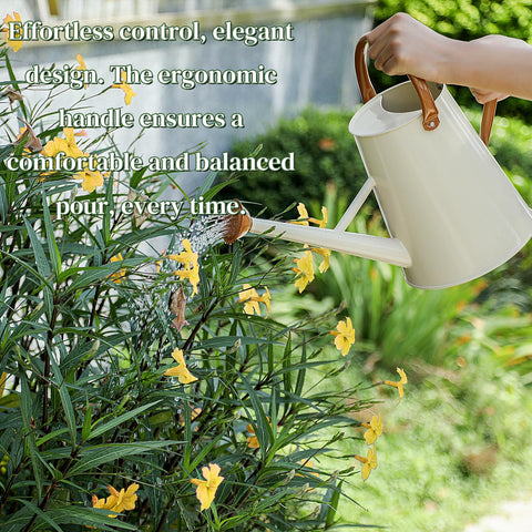 Stdemarzo removable spout allows gentle shower or direct pour for delicate foliage.