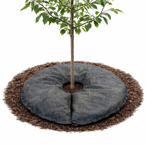 SteadySpring balance mat in container maintains optimal moisture for thriving plants