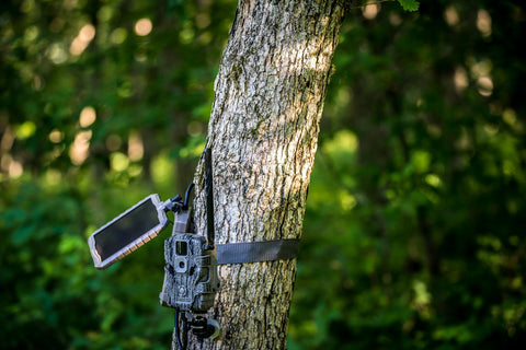 Stealth Cam Sol-Pak 10ft insulated cable enables durable outdoor camera setup