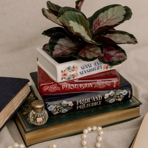 STEEL MILL AND CO Desktop-friendly book planter sits neatly on a desk