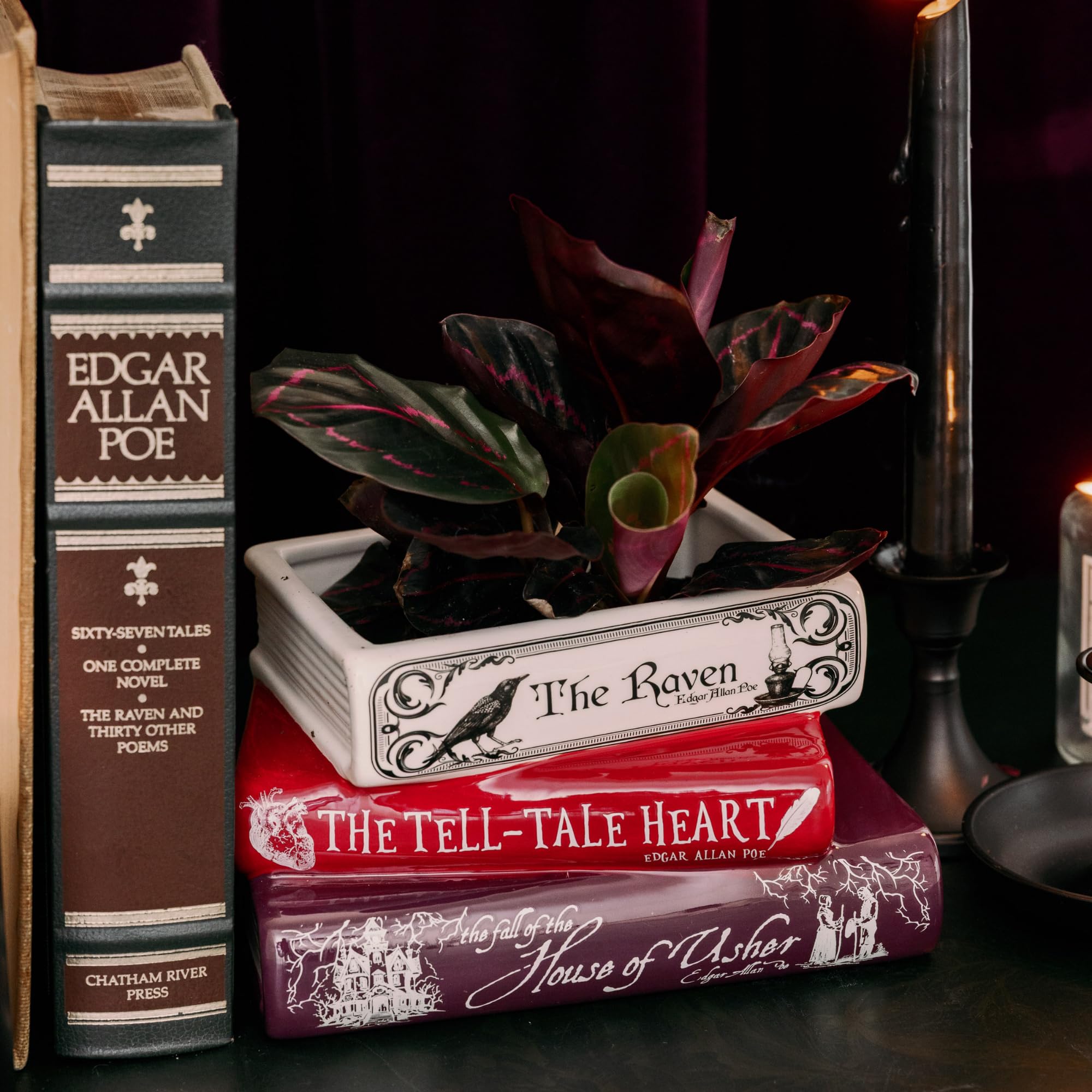Steel Mill & Co Edgar Allan Poe planter, cover title with raven motif