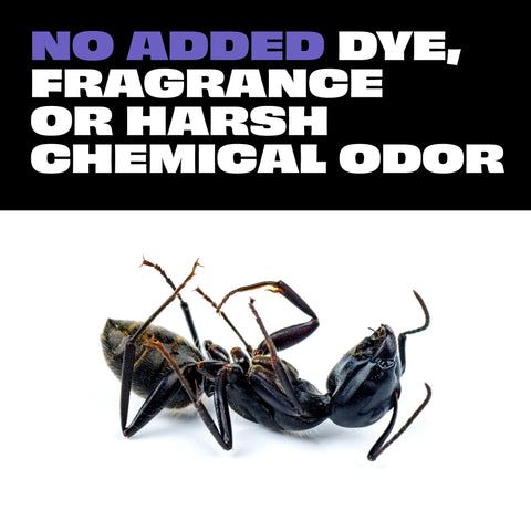 STEM entomologist-tested bug spray bottle with botanical extracts.