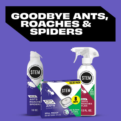 STEM fragrance-free, no dye formula bottle for neutral scent.
