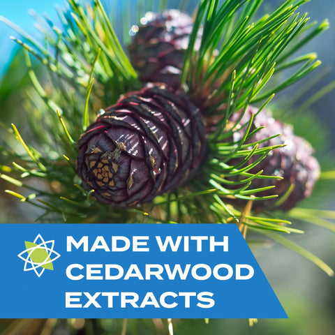 Fresh cedar aroma after spraying, with no harsh chemical odors.