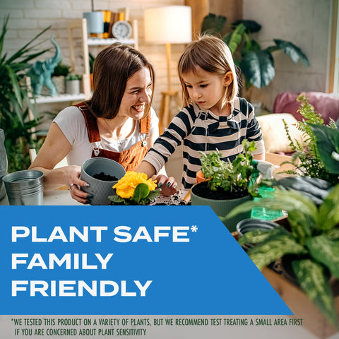 Applying STEM spray to indoor plants in a home setting.