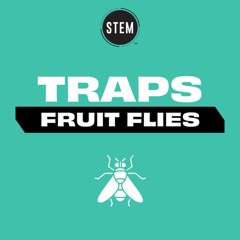 STEM Kills Fruit Fly Trap closeup on botanical extracts highlights safe ingredients.