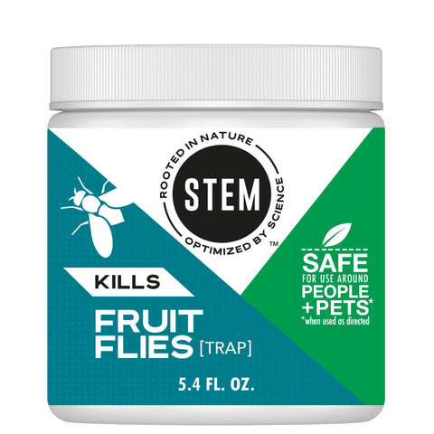 STEM Kills Fruit Fly Trap front view shows compact, ready-to-use home defense.