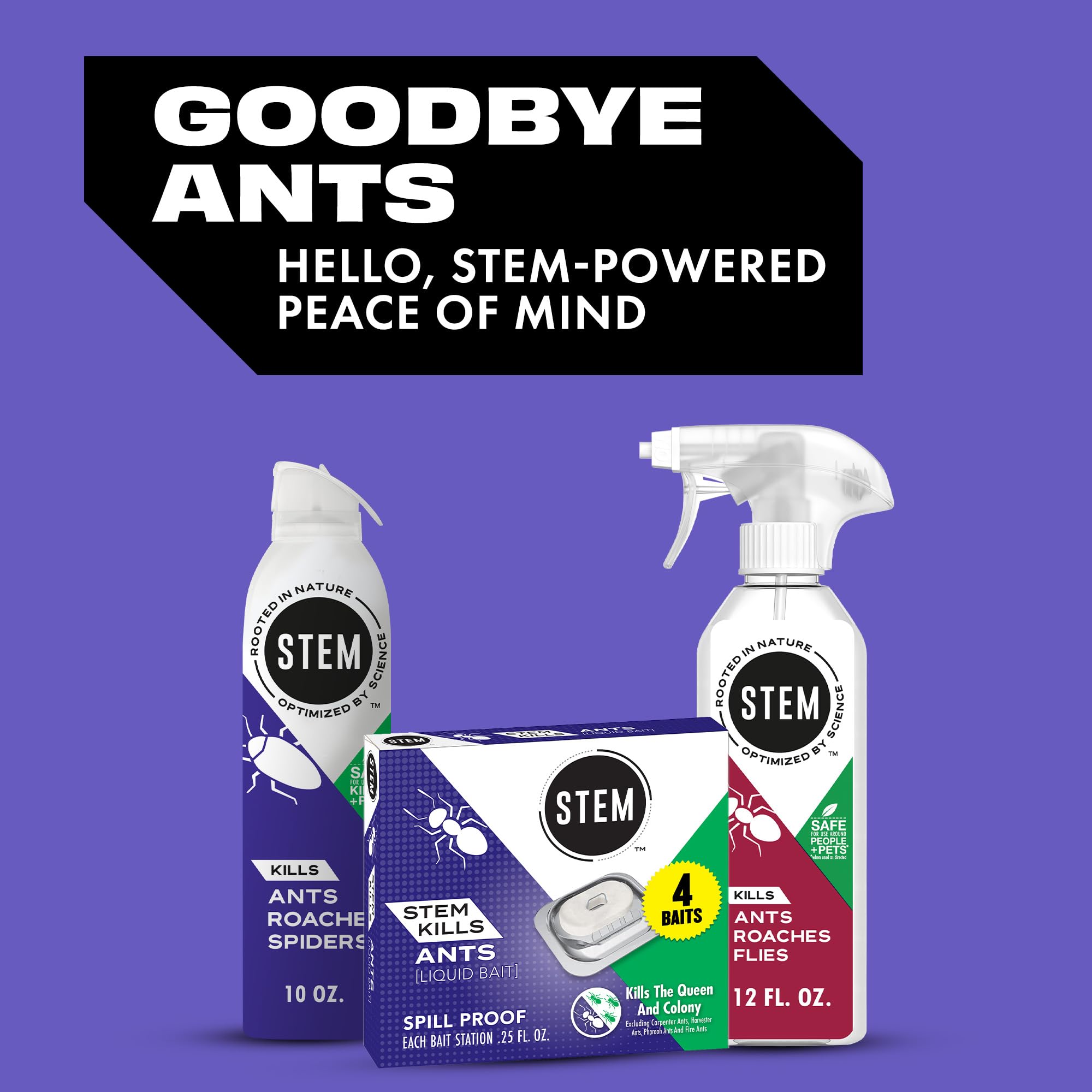 Ants carrying STEM bait back to colony indicating fast action