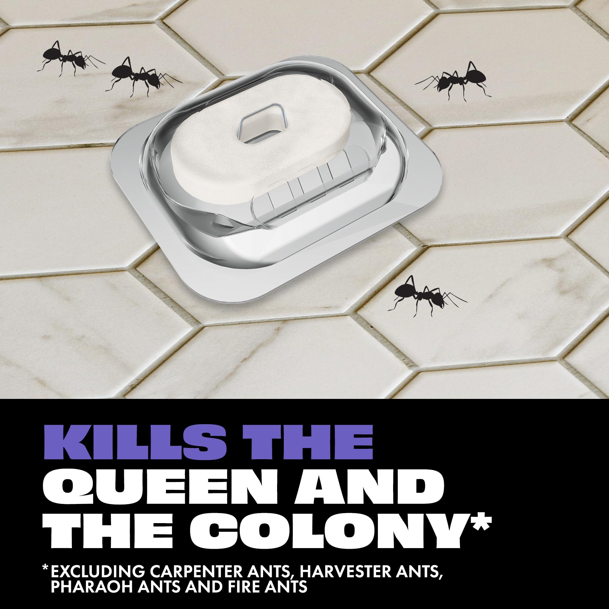 STEM Liquid Ant Bait in a kitchen corner for fast control.