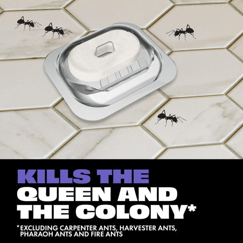 STEM Liquid Ant Bait in a kitchen corner for fast control.