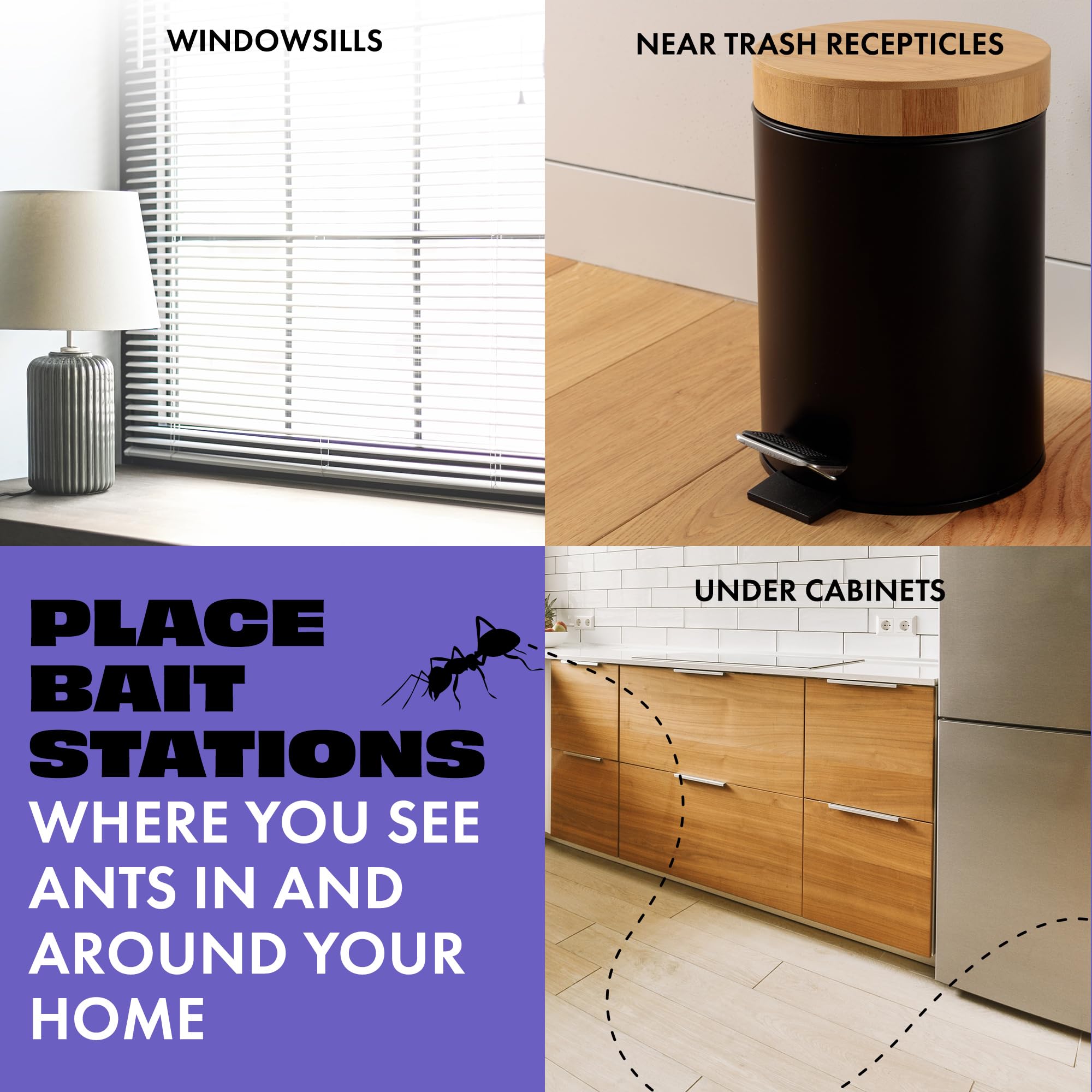 STEM bait station placed under appliance to reach hidden ants
