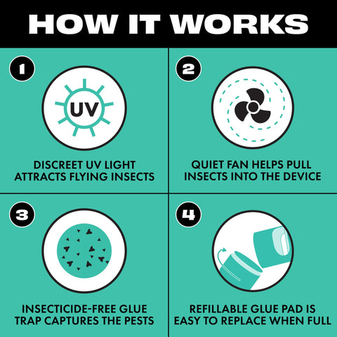 STEM odorless fly trap pads designed for odor-free pest control at home.