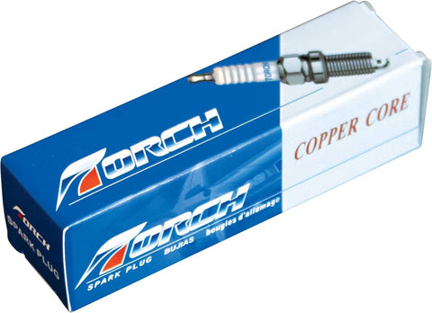 Stens 131-039 spark plug keeps engines starting smoothly in Torch F6RTC setups.