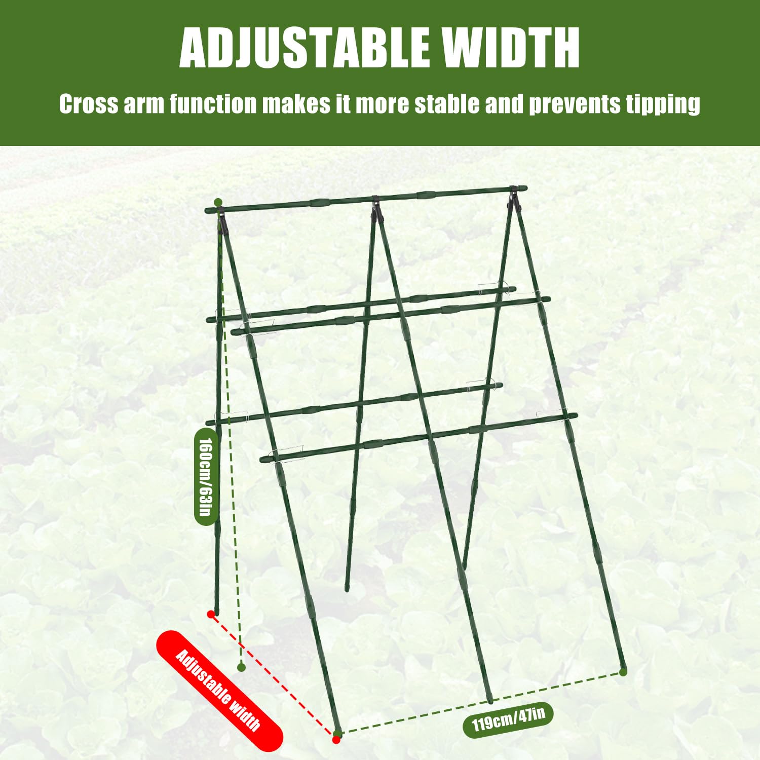 STFALI A-frame trellis with climbing net supports cucumbers and tomatoes