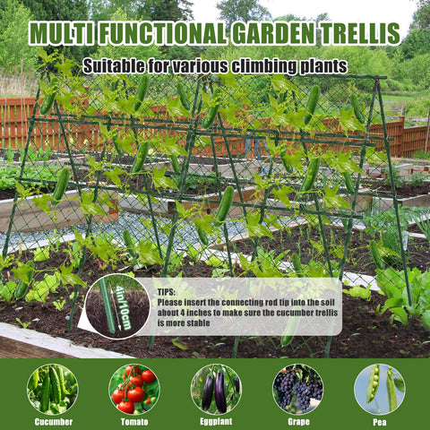 STFALI versatile trellis for cucumbers, grapes, peas and more