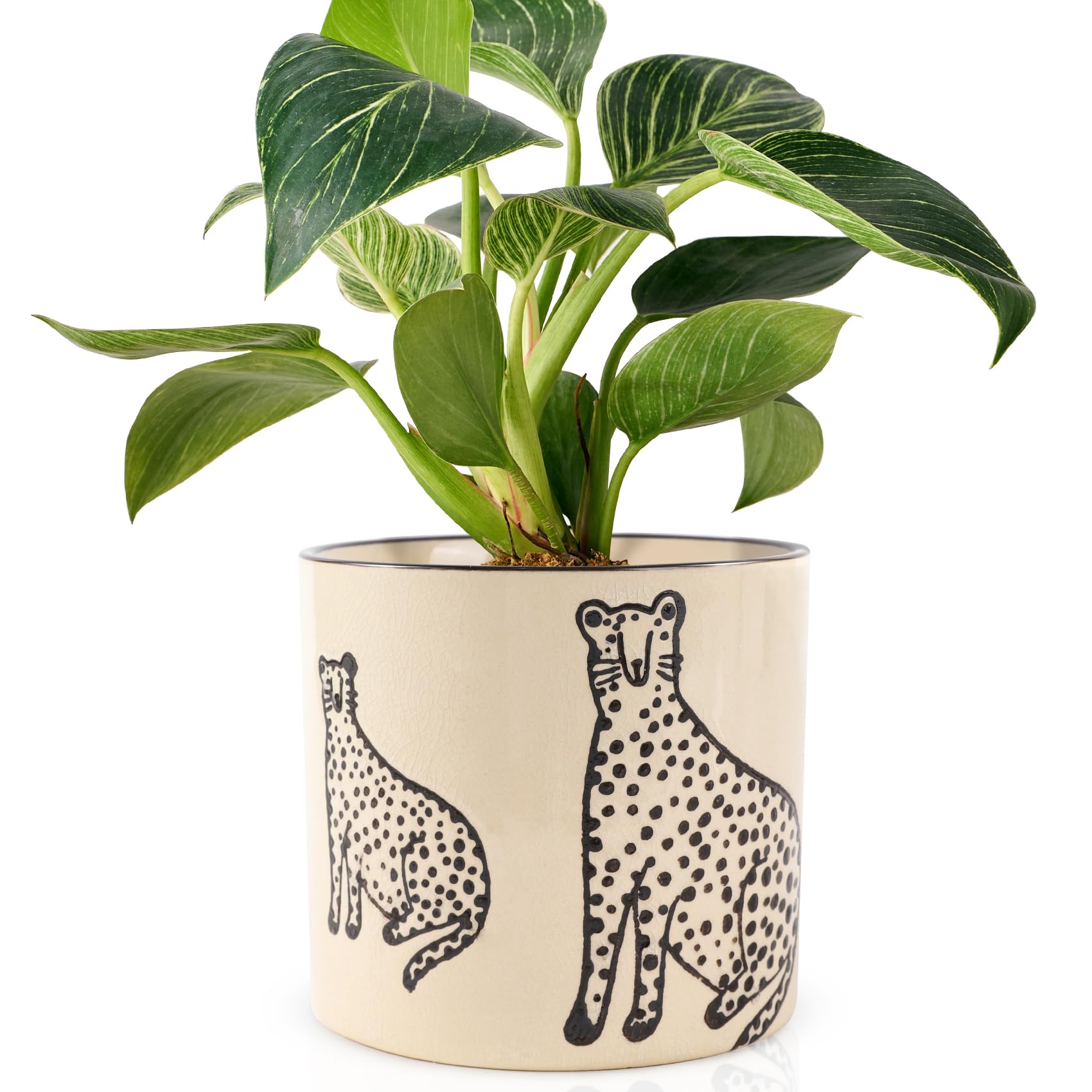 STHIE 5-inch ceramic planter with panther pattern for stylish indoor greenery.