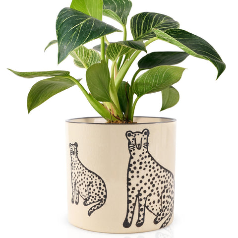 STHIE 5-inch ceramic planter with panther pattern for stylish indoor greenery.