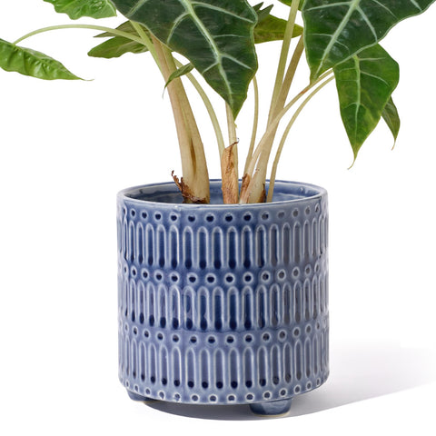 STHIE blue cactus snake plant pot with crackle glaze for modern indoor decor.