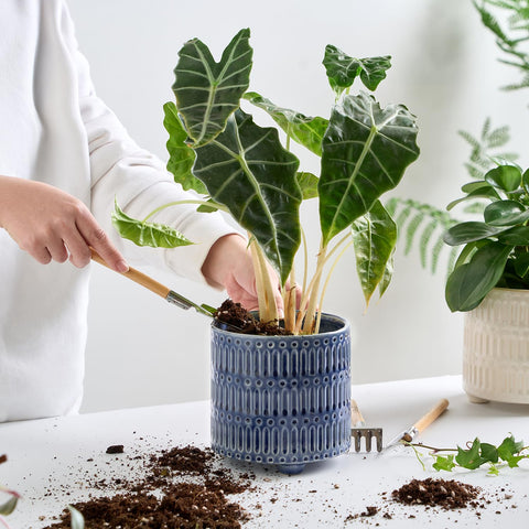STHIE durable planter with a 3-footed base stays stable on shelves.