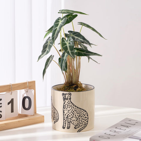 STHIE indoor plant pot with drainage holes to prevent overwatering.