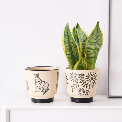 STHIE outdoor-friendly ceramic planter withstands regular indoor and patio use.