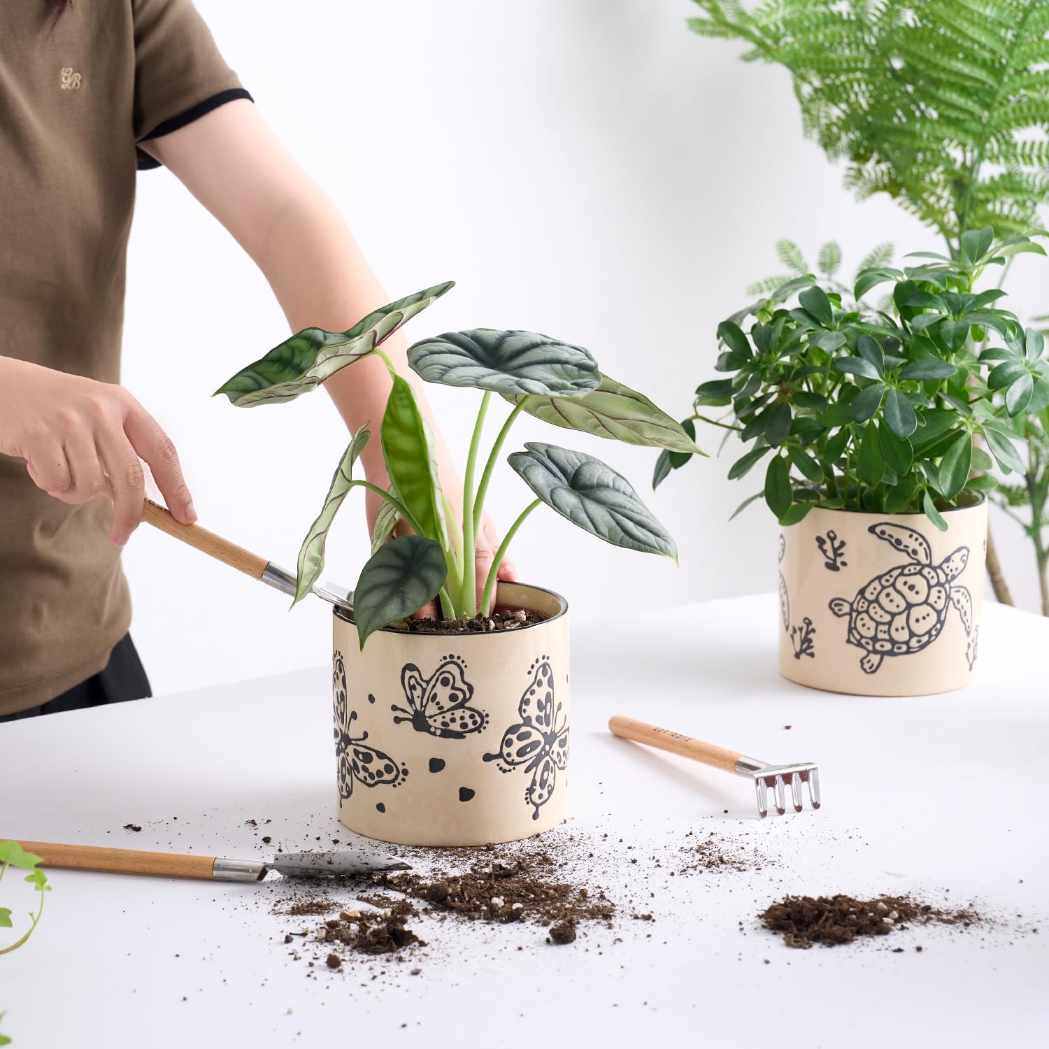 STHIE pothos-friendly ceramic pot for compact indoor varieties.