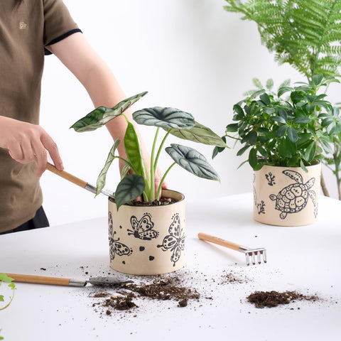STHIE pothos-friendly ceramic pot for compact indoor varieties.