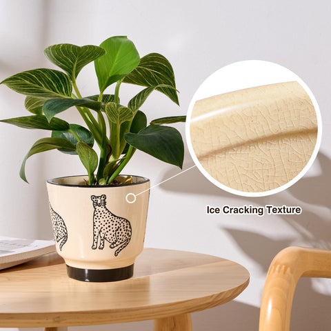 STHIE small plant pot doubles as dried flowers container for desktop.