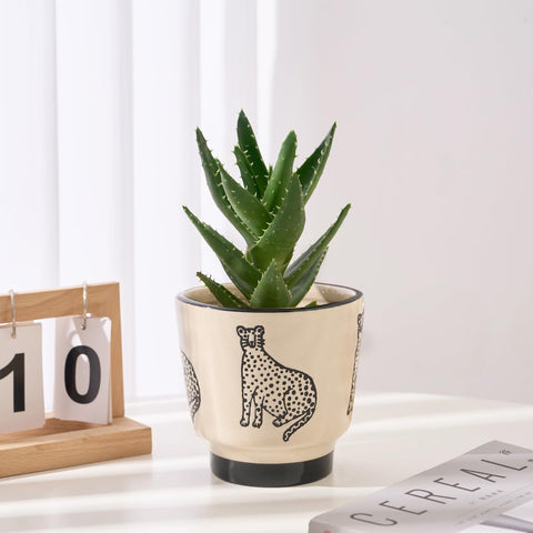 STHIE sturdy ceramic planter supports a wide range of indoor plants.