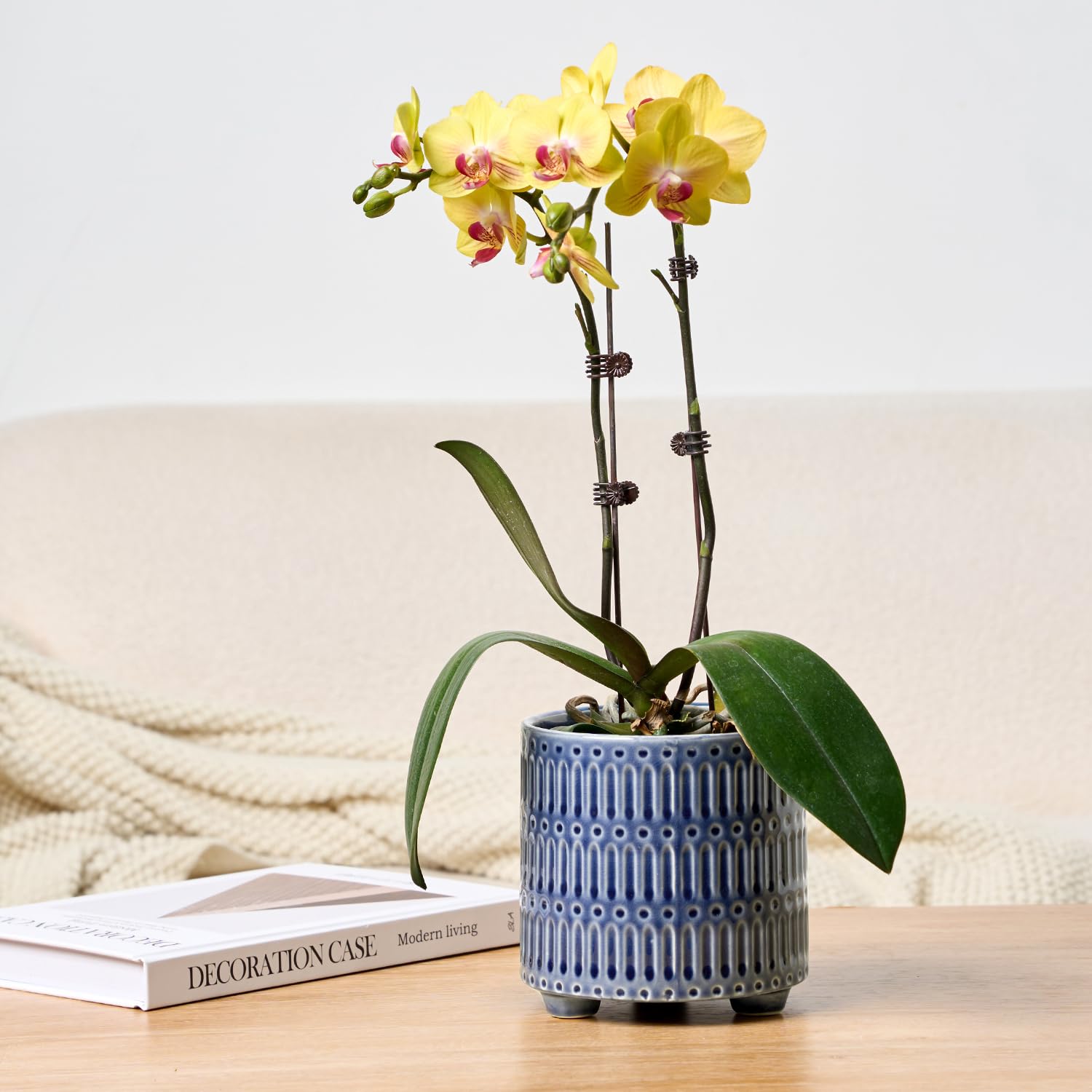 STHIE versatile planter doubles as pencil storage for office desks.