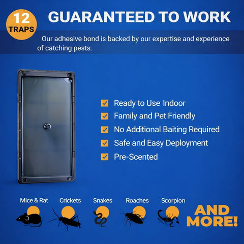 Sticky Stop disposable design makes cleanup quick and simple.