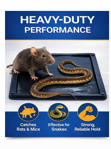 Sticky Stop glue trap in a corridor captures a snake, versatile placement for safety.