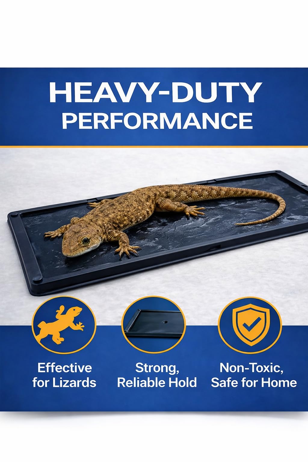 Sticky Stop glue trap in the corner catches a spider, discreet pest control.