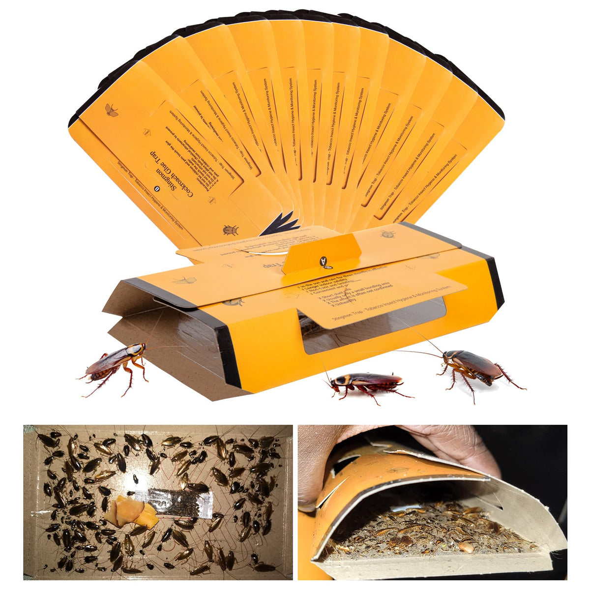 Stingmon 18-pack roach traps indoor packaging ready for quick setup and placement