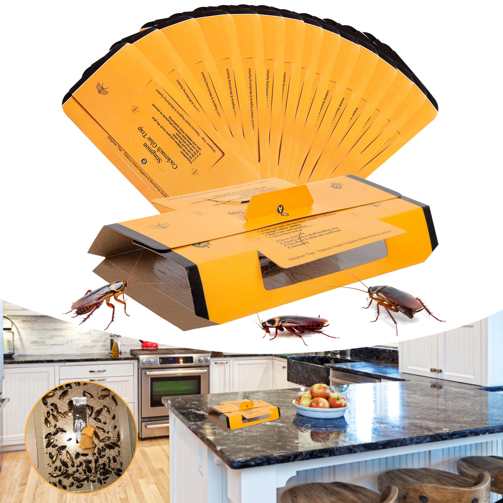 Stingmon 24-pack roach traps indoor setup in hallway corner for quick pest capture.