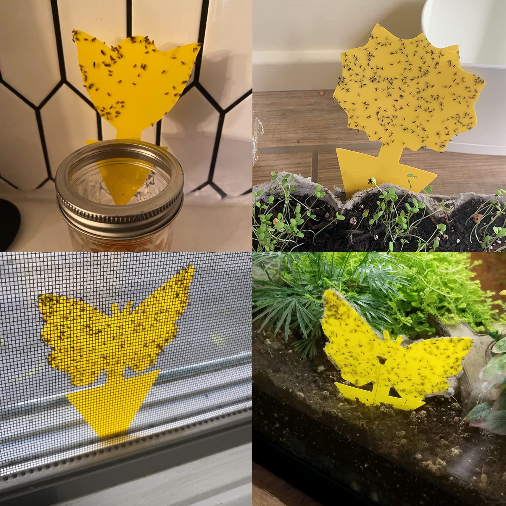 Stingmon 60-pack traps kit provides versatile pest control options.