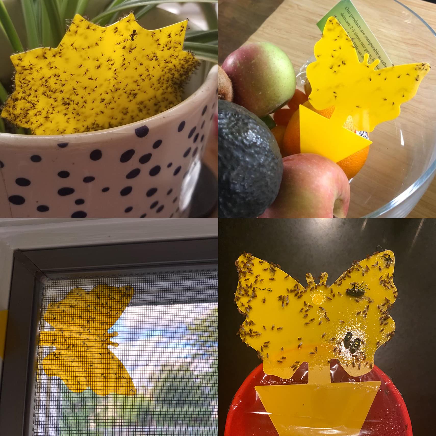 Stingmon butterfly support sticks help position traps around plants.