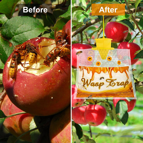 Stingmon carpenter bee traps outdoor provide targeted pest capture in yards.