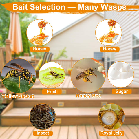 Stingmon easy-disposal wasp trap highlights quick post-use discard.