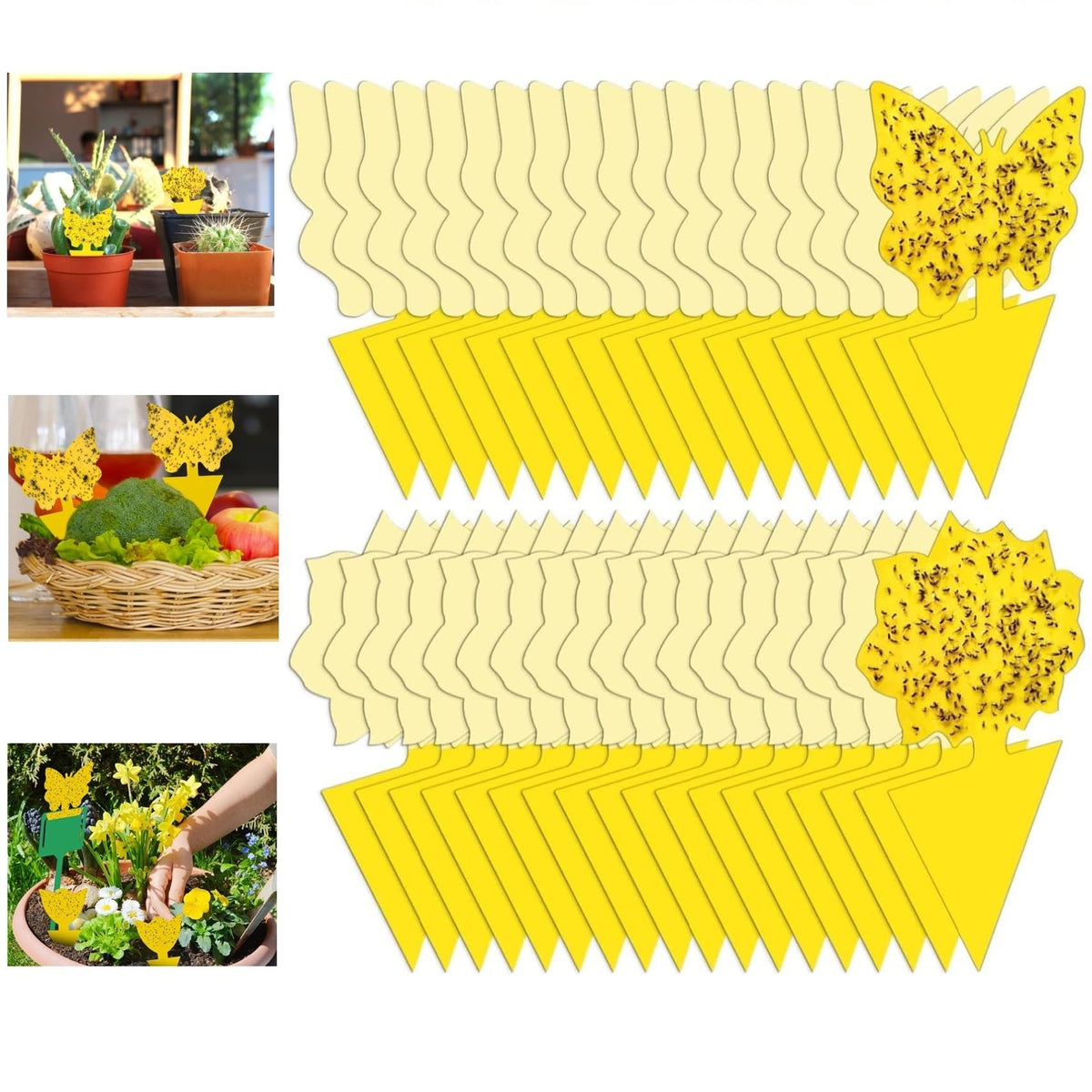 Stingmon fruit fly trap indoors attracts gnats with bright yellow glue for effective trapping