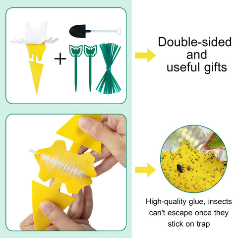 Stingmon fungus gnat sticky traps cling to pests with strong adhesive