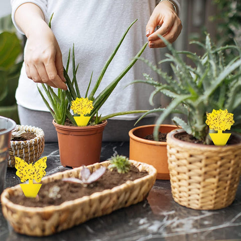 Stingmon green butterfly sticks help stabilize traps.