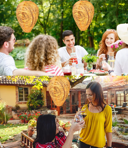 Stingmon nest placed on eave demonstrates easy mounting and sheltering outdoor spaces.