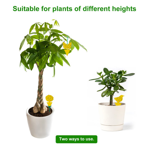 Stingmon plant pest traps are UV resistant and waterproof for durability