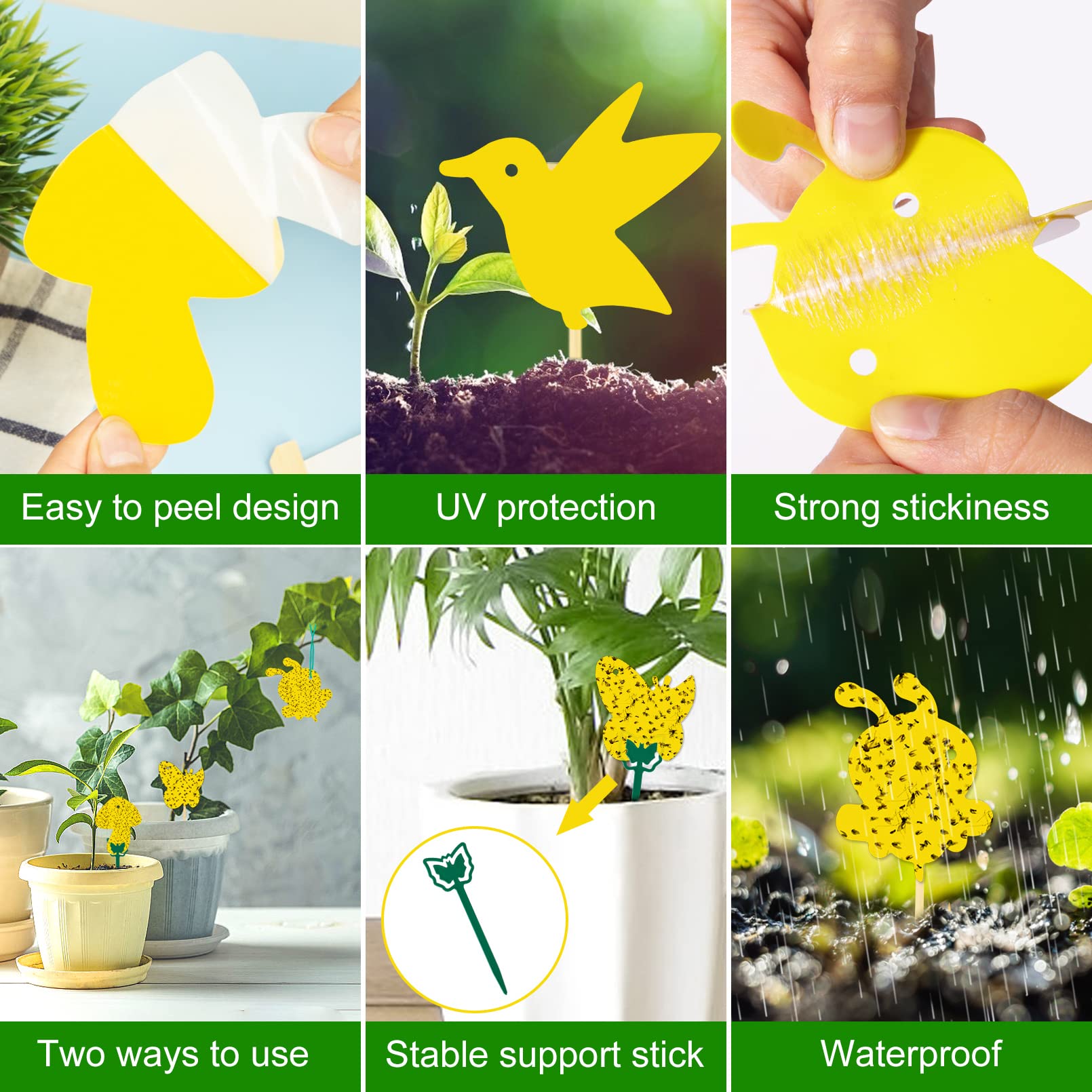 Stingmon plant pots traps in use protect houseplants from gnats
