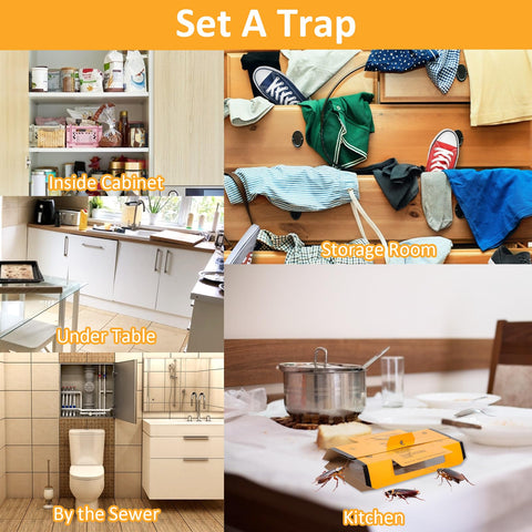 Stingmon roach traps indoor multi-entrance design increases capture opportunities