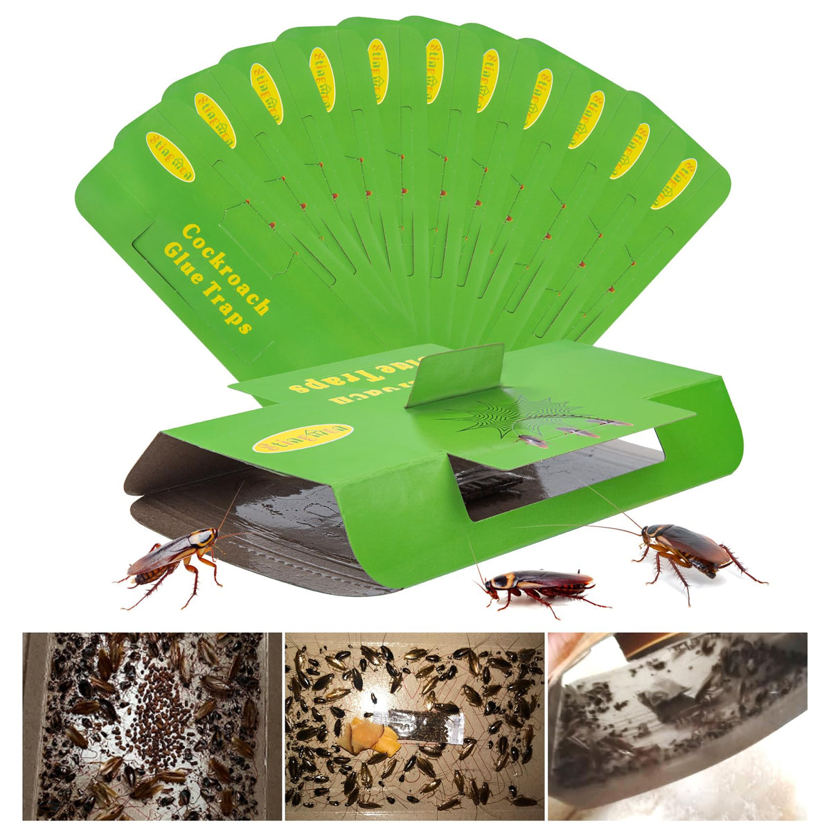 Stingmon indoor roach traps pack shown for home pest protection