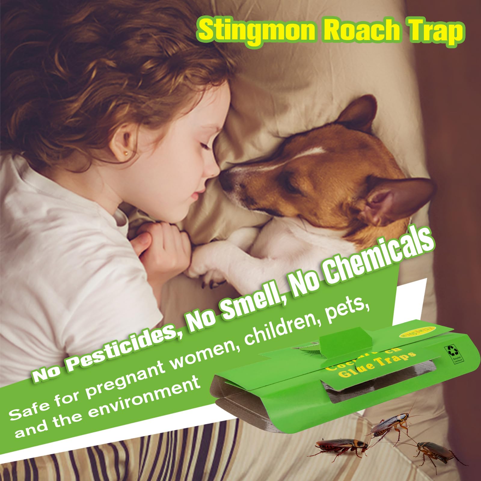 Stingmon roach traps with multiple entry points for better capture